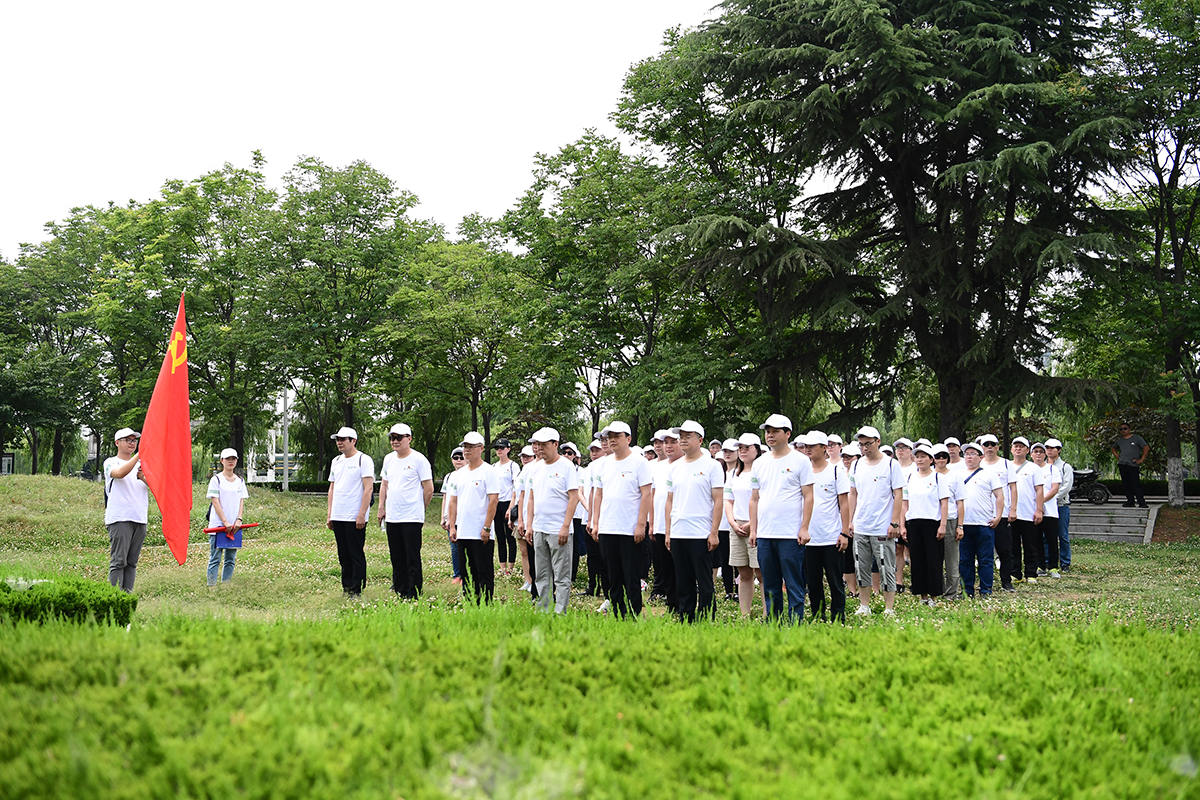 LD.COM党建(图6)
